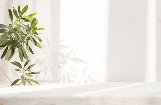 Vintage table top for product display and tropical plant branch on abstract cement wall background with dappled window sunlight shadows - Powered by Adobe