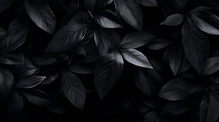 Black Leaves