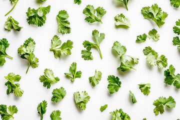 A loose cilantro leaves scattered naturally, isolated on a white background
