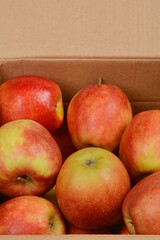 A close-up of a cardboard box filled with red and green apples