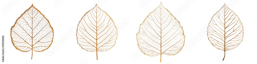 Poster elegant and delicate golden autumn leaves with intricate botanical patterns textures and minimal dec