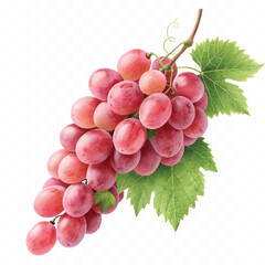 abstract 3d fresh grapes with green leaf isolated on a white background