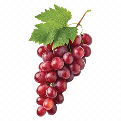 abstract 3d fresh grapes with green leaf isolated on a white background
