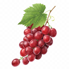 abstract 3d fresh grapes with green leaf isolated on a white background