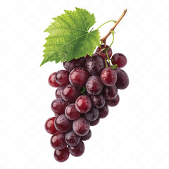 abstract 3d fresh grapes with green leaf isolated on a white background