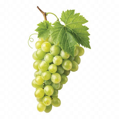 abstract 3d fresh grapes with green leaf isolated on a white background