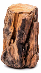 Upright weathered wooden stump against a solid white backdrop