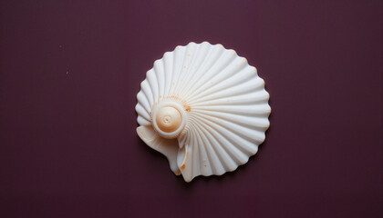 Intricate white seashell on dark plum background, nature's artistry
