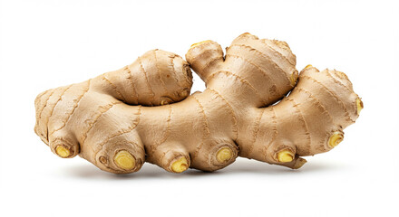 Fresh ginger root isolated on white background  