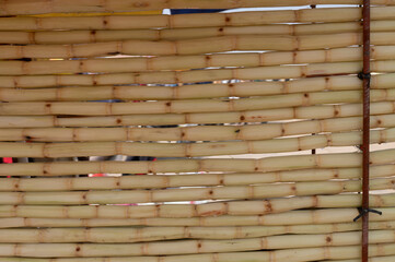 Prayagraj,India-28 pJanuary 2025 The sugarcane juice seller has peeled and decorated the sugarcane at the Kumbh Mela in Prayagraj or Allahabad Uttar Pradesh India