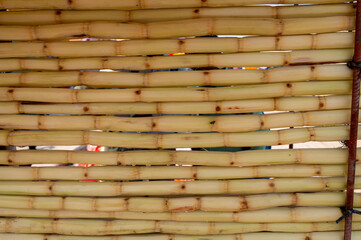 Prayagraj,India-28 pJanuary 2025 The sugarcane juice seller has peeled and decorated the sugarcane at the Kumbh Mela in Prayagraj or Allahabad Uttar Pradesh India