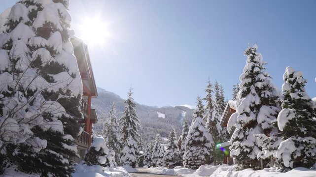 Mountain alpine winter luxury homes with snow covered trees, sunshine, Whistler Canada real estate, ski resort. 4K 24FPS