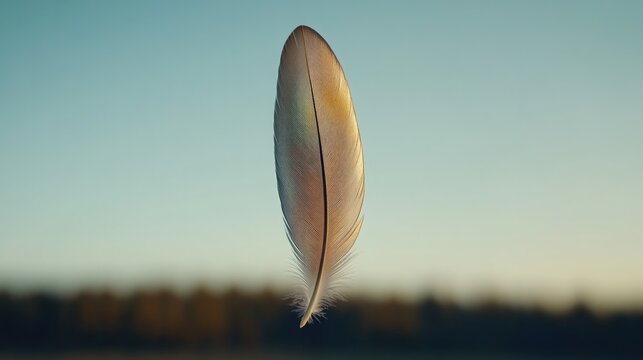 Delicate feather floats against serene backdrop, showcasing ethe