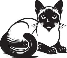 Siamese cat vector in black and white