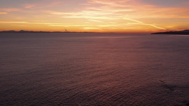 Seagulls flying over coastline of Vancouver Island, Sooke, BC, aerial drone footage, ocean sunset. 4K 24FPS