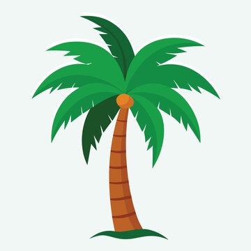 Murumuru Palm vector with Colored Detailed Illustration