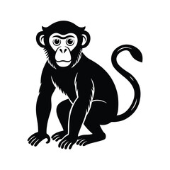 Monkey silhouette vector illustration design