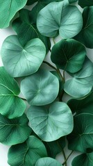 Bunch of fresh green leaves isolated on white background highlighting their lushness and natural beauty in detail