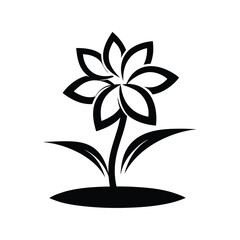 black and white flower