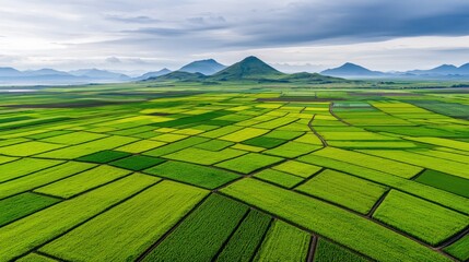 Obraz premium Ecological impact climate recovery concept. Vast green fields with mountains under a cloudy sky.