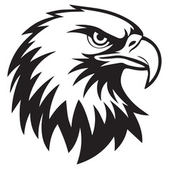 eagle head vector illustration