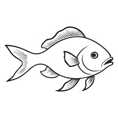 vector illustration of a fish on white background