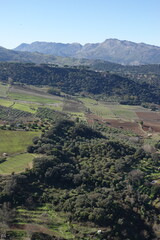 Naklejka premium view of Ronda in spring, Andalucia, Spain