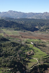 Naklejka premium view of Ronda in spring, Andalucia, Spain