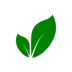 Two green leaf icon,symbol of eco food