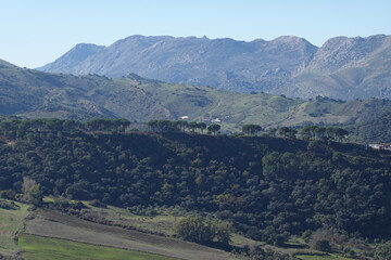 Obraz premium view of Ronda in spring, Andalucia, Spain
