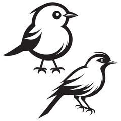 vector illustration of a bird