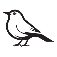 vector illustration of a bird