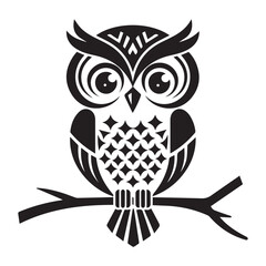 owl on white background