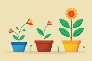 Three potted flowers demonstrate the growth cycle from budding to full bloom, set against a neutral background, Potted flower growth cycle,