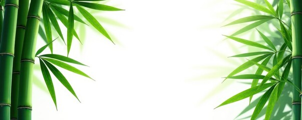 Lush green bamboo and palm trees against a bright white background , summer, artwork
