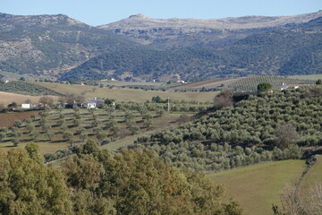 Obraz premium view of Ronda in spring, Andalucia Spain