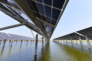 Solar panels power green energy