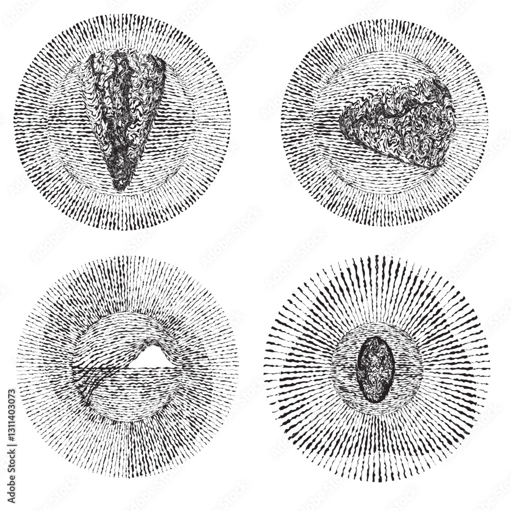 Poster rough lines in circle form . rotate rounded shape vector illustration .rotating circles form a ring.