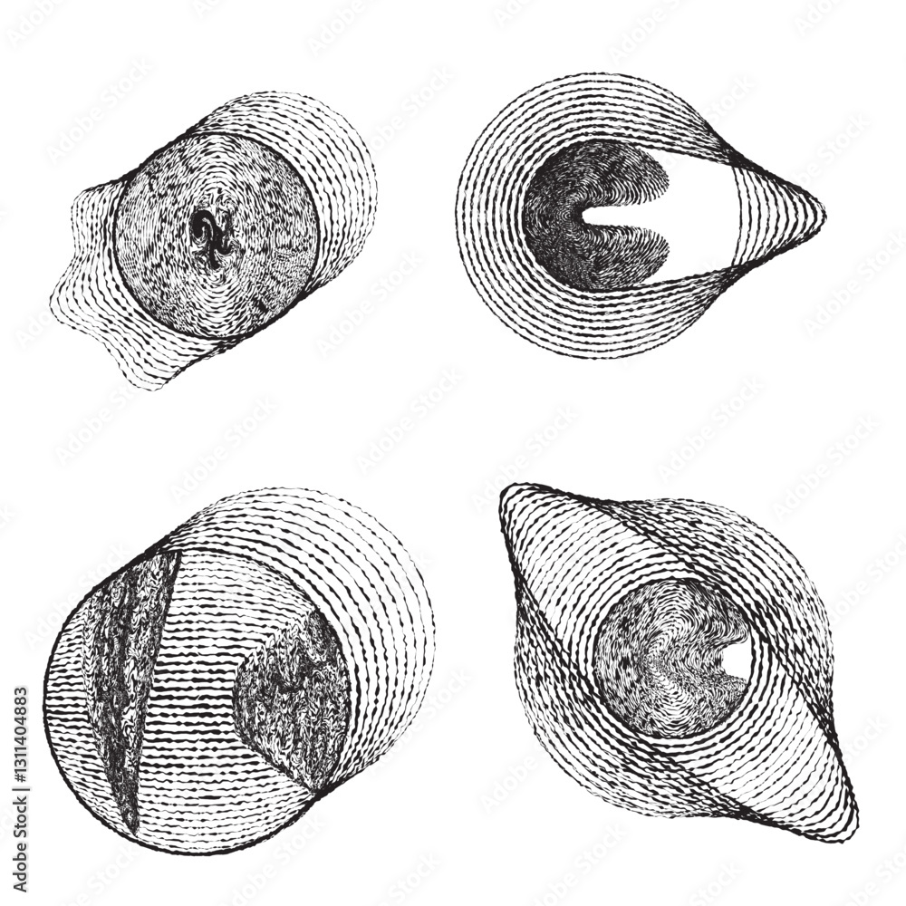 Poster rough lines in circle form . rotate rounded shape vector illustration .rotating circles form a ring.