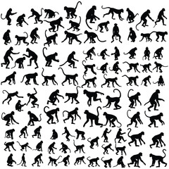 Monkey silhouettes vector set. monkey, primate, wildlife, animal, black silhouette, posture, movement, jumping, walking, sitting.
