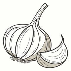 Garlic bulb and clove illustration on a plain background