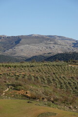 View of Ronda, Andalucia Spain
