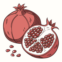 Pomegranate showing whole and half fruit with seeds