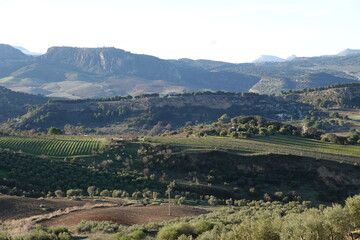 View of Ronda, Andalucia Spain