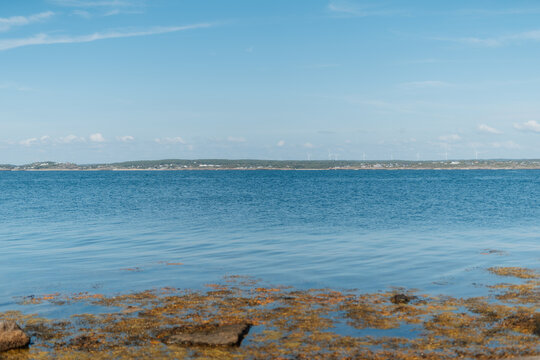 Coastal landscape with seaweed in the foreground and mainland horizon, Frilles&aring;s, Sweden