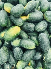ripe watermelons, freshly harvested and ready to enjoy