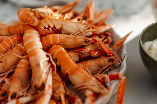 Freshly boiled crayfish served on a platter, traditional Swedish summer seafood