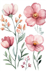 Watercolor Floral Bouquet Clipart  Peach Wildflowers & Daisies  Spring Flowers PNG for Design Projects, Wedding Invitations  Pastel Color Palette, Transparent Background, High-Quality Cutout