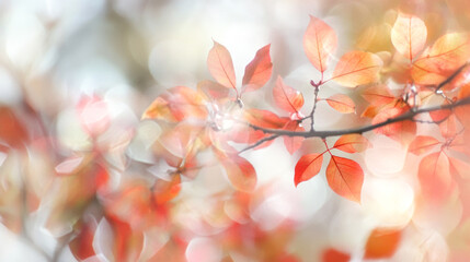 Fototapeta premium Delicate autumn leaves with soft bokeh background