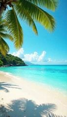 Sun-drenched beach, clear aqua water, palm silhouette , nature, texture